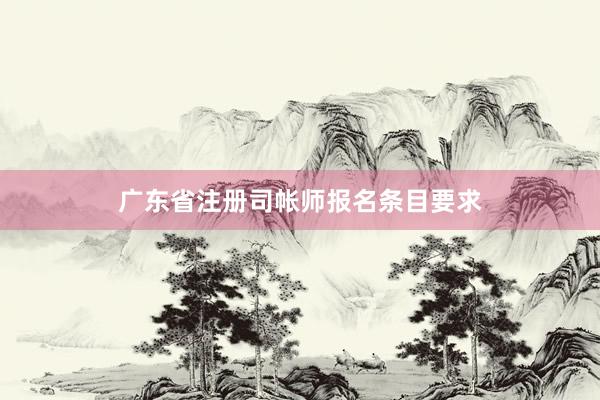 广东省注册司帐师报名条目要求