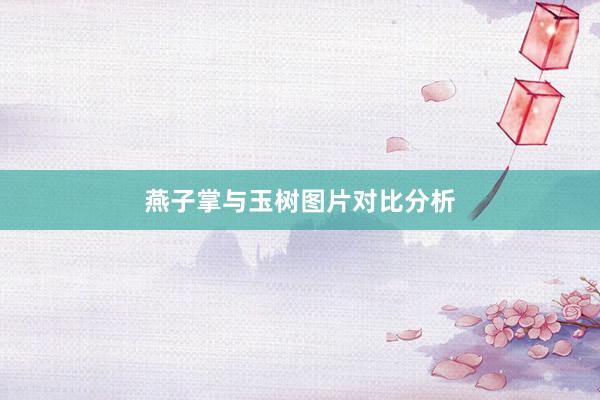 燕子掌与玉树图片对比分析